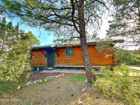 3403 Top View Rd, Overgaard, AZ 85933