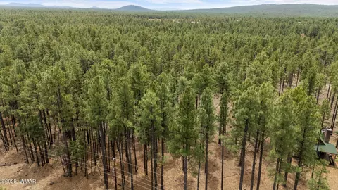 9241 Morgan Mountain Rd, Lakeside, AZ 85929