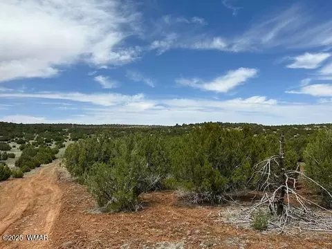 46 County Road 3048, Concho, AZ 85924