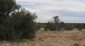 Sec 19 T15n, Heber, AZ 85928