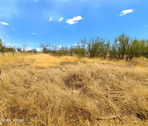 tbd S Coconino St, Springerville, AZ 85938 photo 5