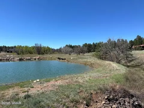 1301 Lakeside Trl, Show Low, AZ 85901