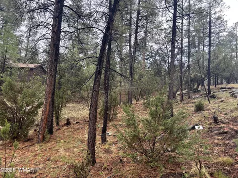 1907 Pine Top Dr, Overgaard, AZ 85928 photo 6
