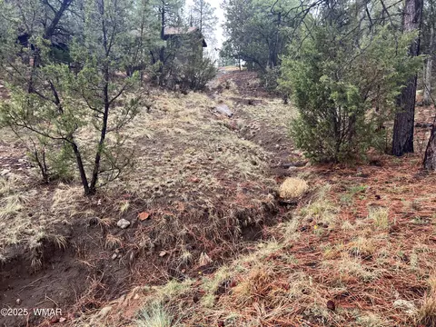 1907 Pine Top Dr, Overgaard, AZ 85928 photo 16