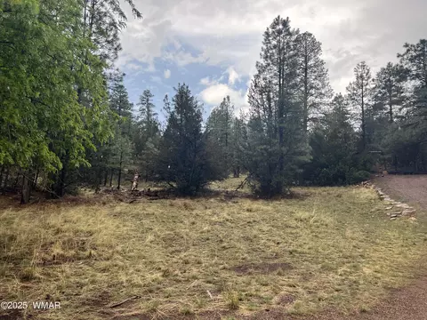1907 Pine Top Dr, Overgaard, AZ 85928 photo 2