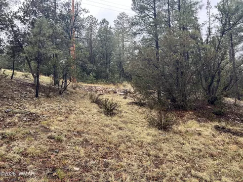 1907 Pine Top Dr, Overgaard, AZ 85928 photo 10