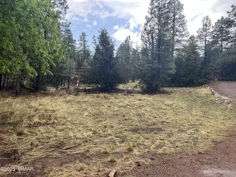 1907 Pine Top Dr, Overgaard, AZ 85928 photo 3