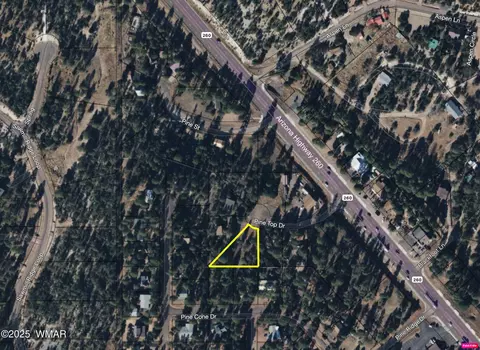 1907 Pine Top Dr, Overgaard, AZ 85928 photo 19