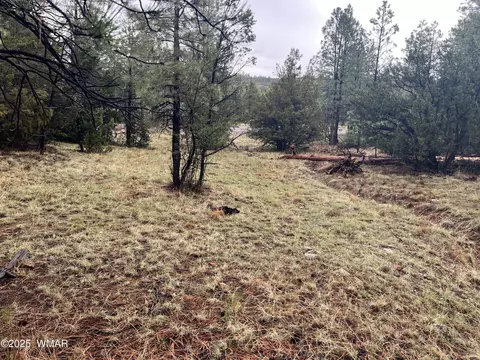 1907 Pine Top Dr, Overgaard, AZ 85928 photo 12