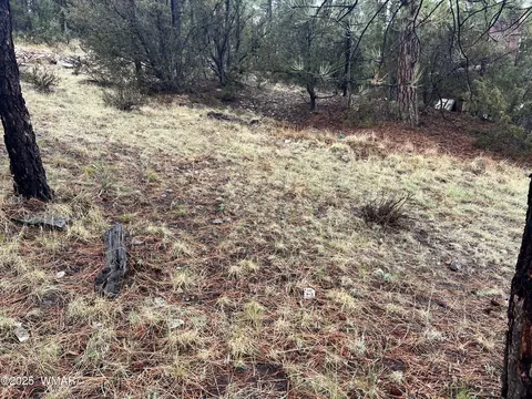 1907 Pine Top Dr, Overgaard, AZ 85928 photo 11