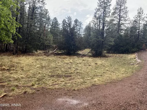 1907 Pine Top Dr, Overgaard, AZ 85928 photo 4