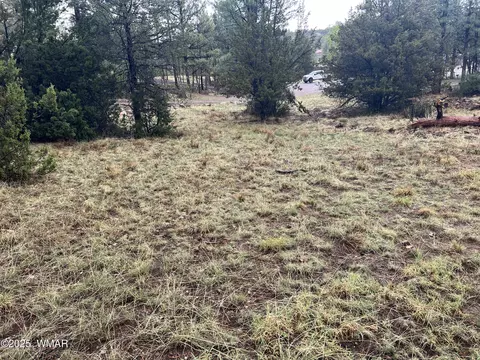 1907 Pine Top Dr, Overgaard, AZ 85928 photo 17