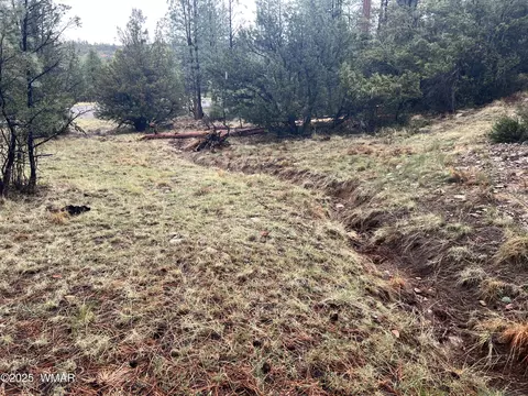 1907 Pine Top Dr, Overgaard, AZ 85928 photo 15