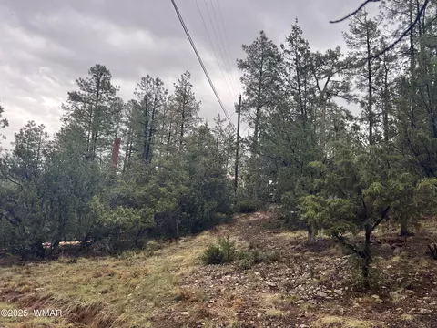1907 Pine Top Dr, Overgaard, AZ 85928 photo 14
