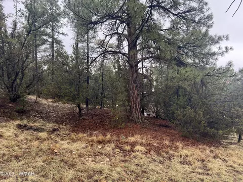 1907 Pine Top Dr, Overgaard, AZ 85928 photo 9