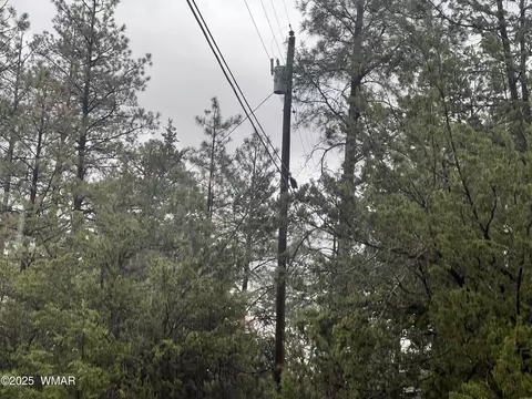 1907 Pine Top Dr, Overgaard, AZ 85928 photo 13