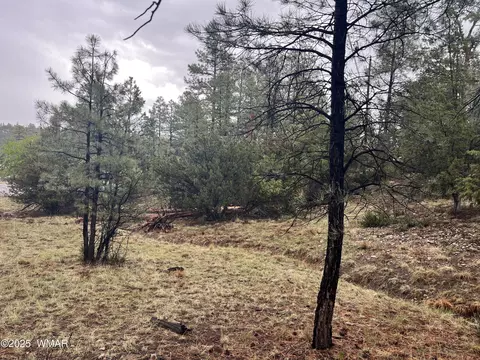 1907 Pine Top Dr, Overgaard, AZ 85928 photo 7