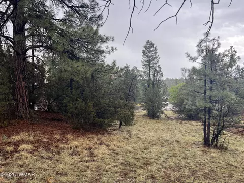 1907 Pine Top Dr, Overgaard, AZ 85928
