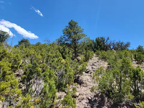 tbd Sunset Dr, Eagar, AZ 85925