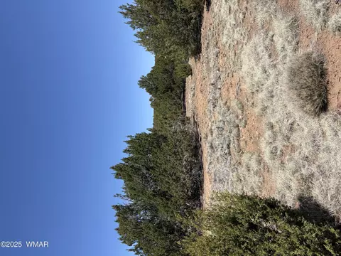82 Cr 8065, Concho, AZ 85924