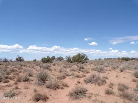 4910 Buckskin Pl, Snowflake, AZ 85937 photo 3