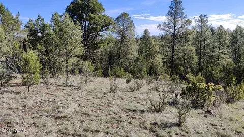 2316 Thunderbird Cir, Overgaard, AZ 85933