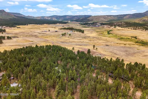 View/Area - 8 County Road 2267, Alpine, AZ 85920 photo 4 of 6