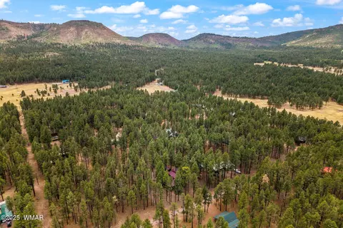 View/Area - 8 County Road 2267, Alpine, AZ 85920 photo 3 of 6