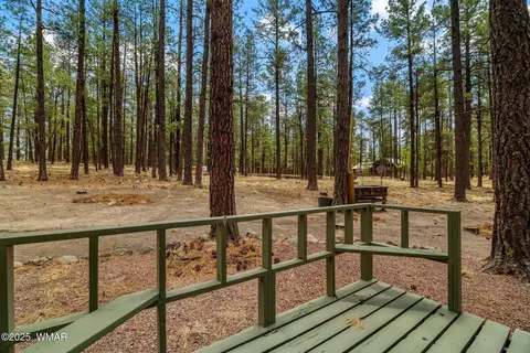 Exterior - 8 County Road 2267, Alpine, AZ 85920 photo 5 of 10