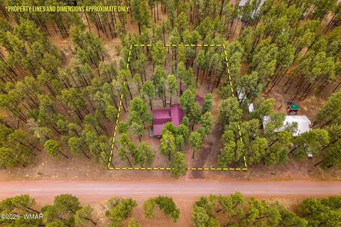 View/Area - 8 County Road 2267, Alpine, AZ 85920 photo 6 of 6