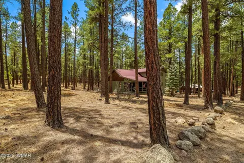Exterior - 8 County Road 2267, Alpine, AZ 85920 photo 2 of 10