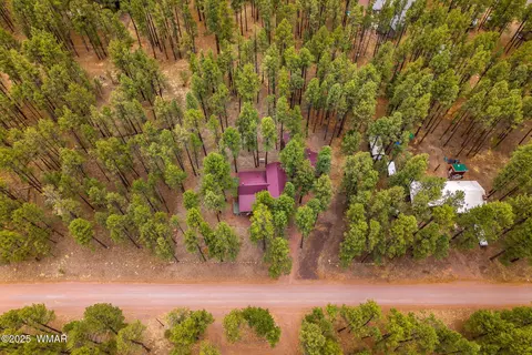 View/Area - 8 County Road 2267, Alpine, AZ 85920 photo 2 of 6