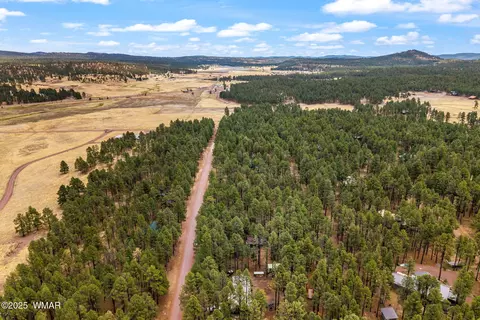 View/Area - 8 County Road 2267, Alpine, AZ 85920 photo 5 of 6