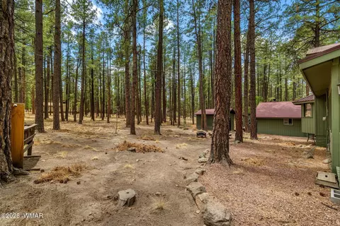 Exterior - 8 County Road 2267, Alpine, AZ 85920 photo 6 of 10