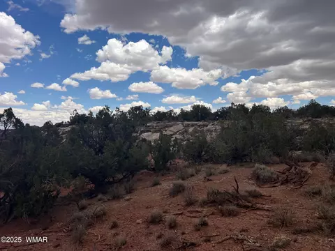 9536 Texas Ln, Snowflake, AZ 85937 photo 24