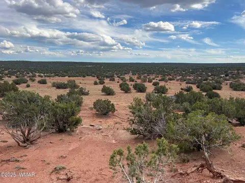 9536 Texas Ln, Snowflake, AZ 85937 photo 19