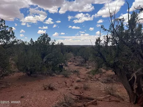 9536 Texas Ln, Snowflake, AZ 85937 photo 25