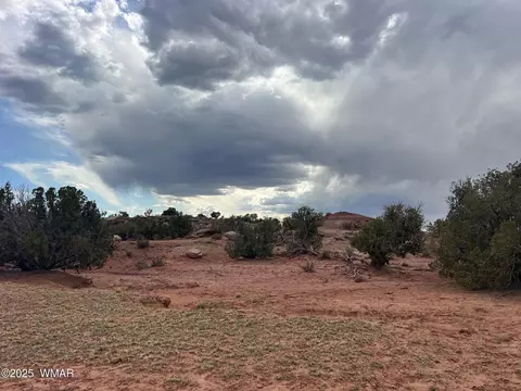 9536 Texas Ln, Snowflake, AZ 85937 photo 5