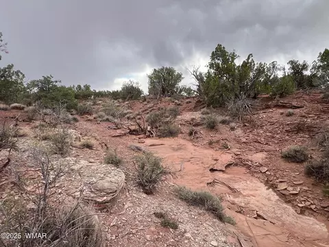 9536 Texas Ln, Snowflake, AZ 85937 photo 29