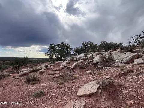 9536 Texas Ln, Snowflake, AZ 85937 photo 3