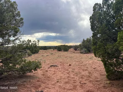 9536 Texas Ln, Snowflake, AZ 85937 photo 20