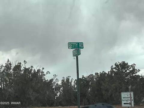 9536 Texas Ln, Snowflake, AZ 85937 photo 34