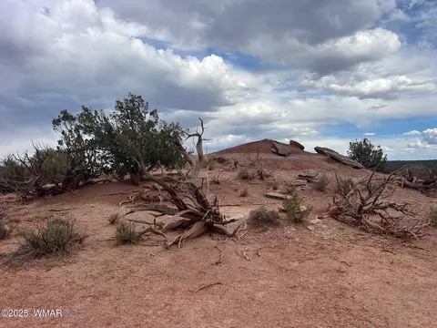 9536 Texas Ln, Snowflake, AZ 85937 photo 6