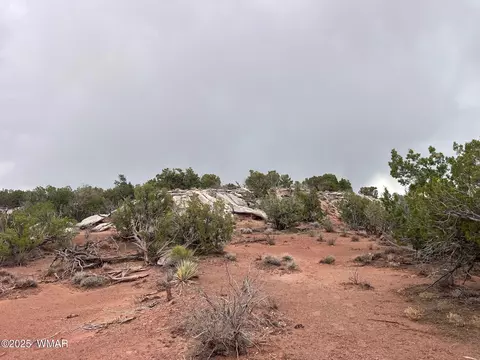 9536 Texas Ln, Snowflake, AZ 85937 photo 21