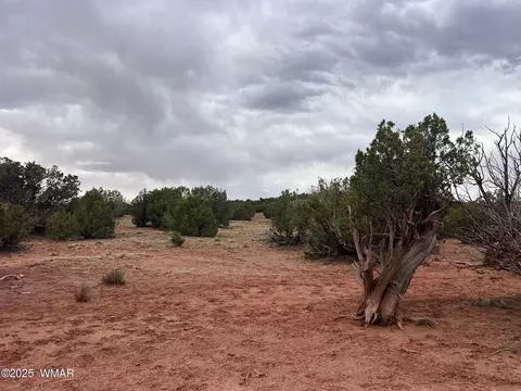 9536 Texas Ln, Snowflake, AZ 85937 photo 9