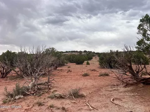9536 Texas Ln, Snowflake, AZ 85937 photo 7