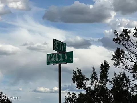 9536 Texas Ln, Snowflake, AZ 85937 photo 33