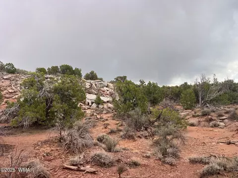 9536 Texas Ln, Snowflake, AZ 85937 photo 22