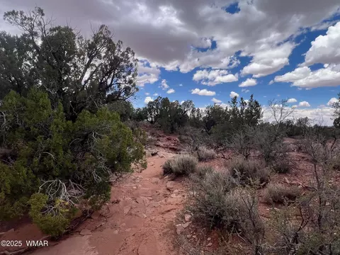 9536 Texas Ln, Snowflake, AZ 85937 photo 30