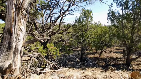 1849 Rocky Bottom Pl, Show Low, AZ 85901